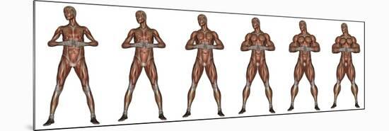 Set of Six Men Showing Progression to Become a Muscular Man-null-Mounted Premium Giclee Print