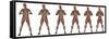 Set of Six Men Showing Progression to Become a Muscular Man-null-Framed Stretched Canvas