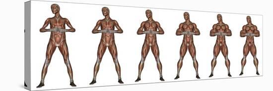 Set of Six Men Showing Progression to Become a Muscular Man-null-Stretched Canvas