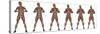 Set of Six Men Showing Progression to Become a Muscular Man-null-Stretched Canvas