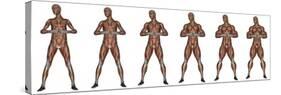 Set of Six Men Showing Progression to Become a Muscular Man-null-Stretched Canvas