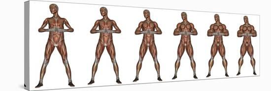 Set of Six Men Showing Progression to Become a Muscular Man-null-Stretched Canvas