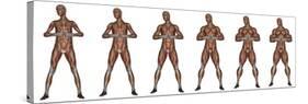 Set of Six Men Showing Progression to Become a Muscular Man-null-Stretched Canvas