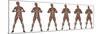 Set of Six Men Showing Progression to Become a Muscular Man-null-Mounted Art Print