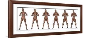 Set of Six Men Showing Progression to Become a Muscular Man-null-Framed Art Print