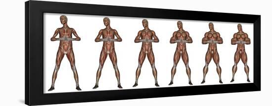 Set of Six Men Showing Progression to Become a Muscular Man-null-Framed Art Print