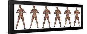 Set of Six Men Showing Progression to Become a Muscular Man-null-Framed Art Print