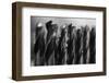 Set of steel drill bits for drill press-Panoramic Images-Framed Photographic Print