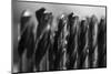 Set of steel drill bits for drill press-Panoramic Images-Mounted Photographic Print