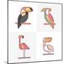 Set of Vector Exotic Tropical Birds Logo Icons. Colorful Line Birds Illustration of Toucan, Cockato-Betelgejze-Mounted Art Print