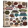 Set of Vintage Retro Labels, Stamps, Ribbons, Marks and Calligraphic Design Elements, Vector-BlueLela-Stretched Canvas