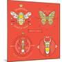 Set of Vintage Thin Line Insects Labels & Badges. Retro Vector Design Graphic Element, Emblem, Logo-karnoff-Mounted Art Print