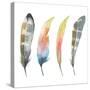 Set of Watercolor Bird Feathers-Maria Mirnaya-Stretched Canvas