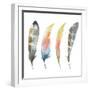 Set of Watercolor Bird Feathers-Maria Mirnaya-Framed Art Print