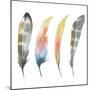 Set of Watercolor Bird Feathers-Maria Mirnaya-Mounted Art Print