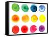 Set of Watercolor Circles  in Vibrant Colors. Watercolor Wet Stains Isolated on White.-LiMaxo-Framed Stretched Canvas