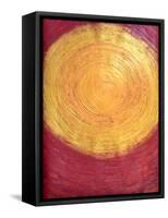 Set the controls to the heart of the Sun-Guilherme Pontes-Framed Stretched Canvas