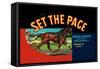 Set the Pace-null-Framed Stretched Canvas