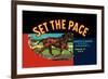 Set the Pace-null-Framed Art Print