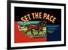 Set the Pace-null-Framed Art Print