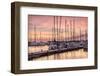 Set to Sail-Danny Head-Framed Photographic Print