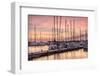 Set to Sail-Danny Head-Framed Photographic Print