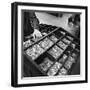 Set Type Broken Up after Use, the White Rose Press, Mexborough, South Yorkshire, 1968-Michael Walters-Framed Photographic Print