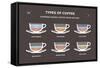 Set Types of Coffee. Info-Graphic-sonyakamoz-Framed Stretched Canvas