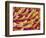 Setae on Gecko Foot-Micro Discovery-Framed Photographic Print