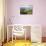 Sete Citades Lake, Sao Miguel Island, Azores, Portugal, Europe-De Mann Jean-Pierre-Photographic Print displayed on a wall