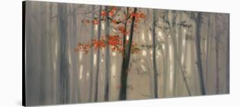 Fall Foliage-Seth Garrett-Laminated Art Print