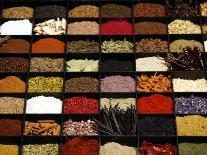 A Display of Spices Lends Color to a Section of Fancy Food Show, July 11, 2006, in New York City-Seth Wenig-Framed Photographic Print