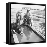 Sétif. Une fontaine-null-Framed Stretched Canvas