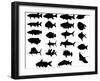 Sets of Silhouette Fishes 3 (Vector)-Atthidej Nimmanhaemin-Framed Art Print