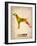 Setter Pointer Poster-NaxArt-Framed Art Print