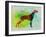 Setter Pointer Watercolor-NaxArt-Framed Art Print