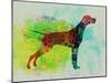 Setter Pointer Watercolor-NaxArt-Mounted Art Print