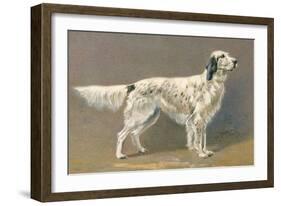 Setter-null-Framed Art Print