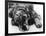 Setter-null-Framed Photographic Print