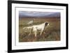 Setters on the Moors-Maud Earl-Framed Premium Giclee Print