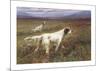 Setters on the Moors-Maud Earl-Mounted Premium Giclee Print