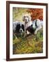 Setters-Edmund Henry Osthaus-Framed Giclee Print