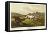 Setters-Henry Thomas Alken-Framed Stretched Canvas