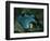 Setting for the Appearance of Astrofiammante, Queen of the Night, from Mozart's 'Magic Flute',…-null-Framed Giclee Print