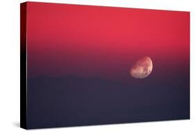 Setting Moon In a Red Sky-Detlev Van Ravenswaay-Stretched Canvas