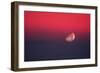 Setting Moon In a Red Sky-Detlev Van Ravenswaay-Framed Photographic Print