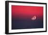 Setting Moon In a Red Sky-Detlev Van Ravenswaay-Framed Photographic Print