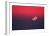 Setting Moon In a Red Sky-Detlev Van Ravenswaay-Framed Photographic Print