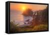 Setting Sun at Trinidad, Northern California Coast-Vincent James-Framed Stretched Canvas