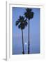 Setting Sun between Two California Fan Palm Trees-Timothy Hearsum-Framed Photographic Print